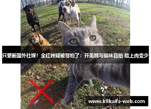 只更新国外社媒！全红婵疑被骂怕了：开美颜与猫咪自拍 脸上肉变少